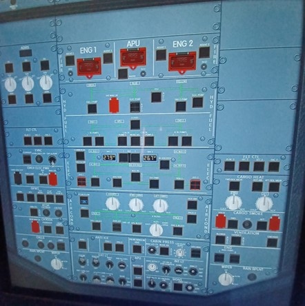 Picture3.jpg