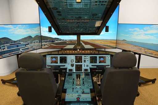 Flight Simulator