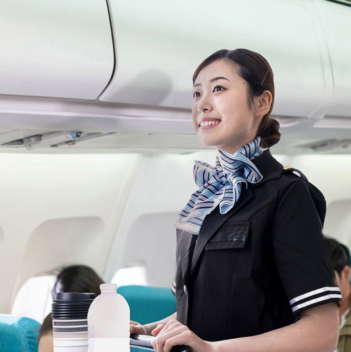 Cabin Crew and Ground Services Summer Day Camp