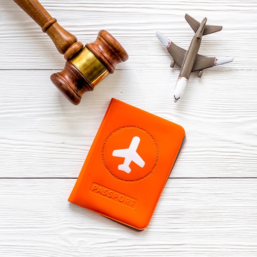 Introduction to Aviation Law